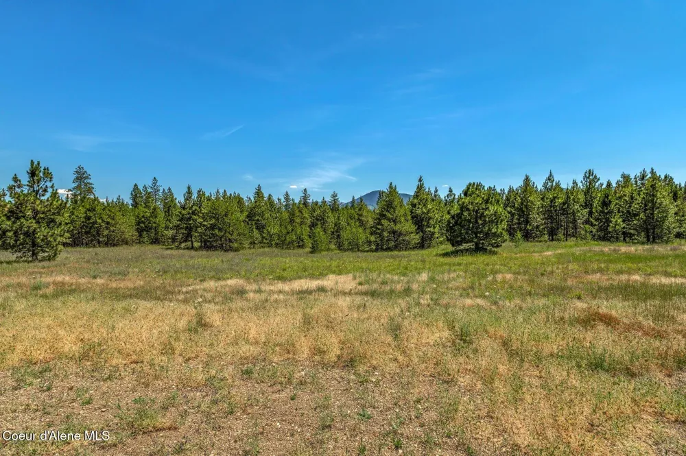 Lot 12 Asulkan St Athol, ID 83801