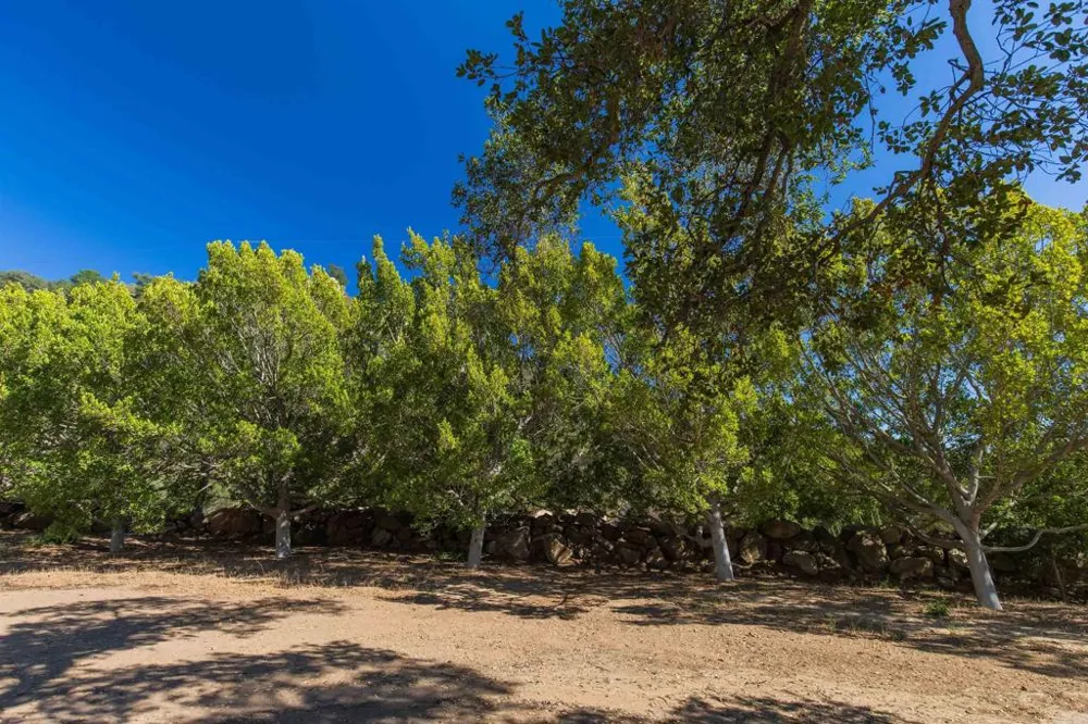Mahogany Ranch Road Ramona, CA 92065