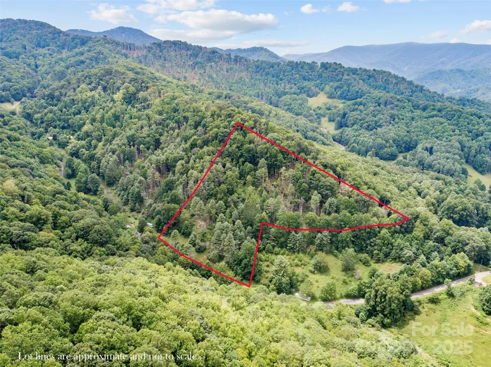 0000 Bee Log Road Burnsville, NC 28714