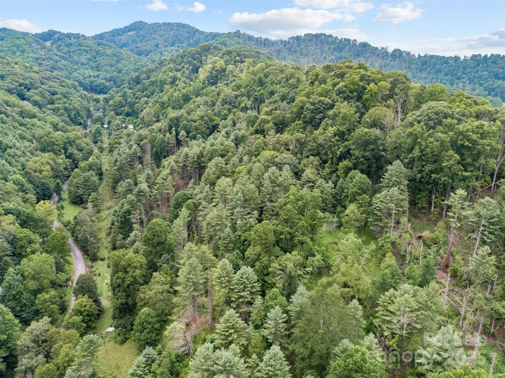 0000 Bee Log Road Burnsville, NC 28714