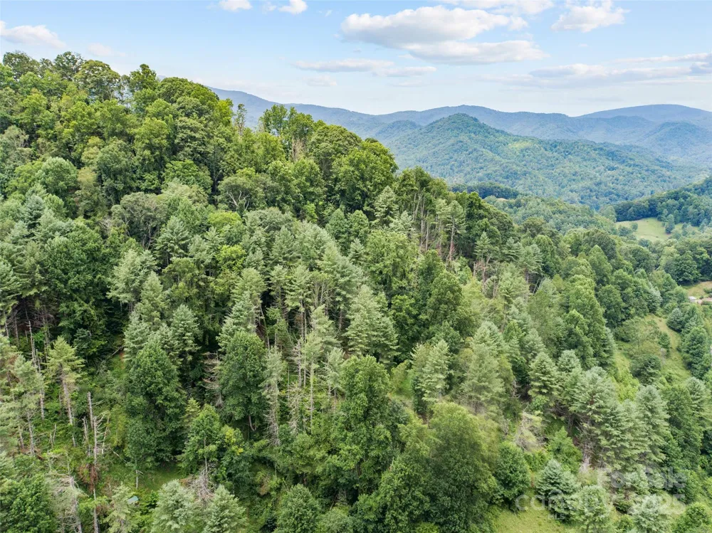 0000 Bee Log Road Burnsville, NC 28714