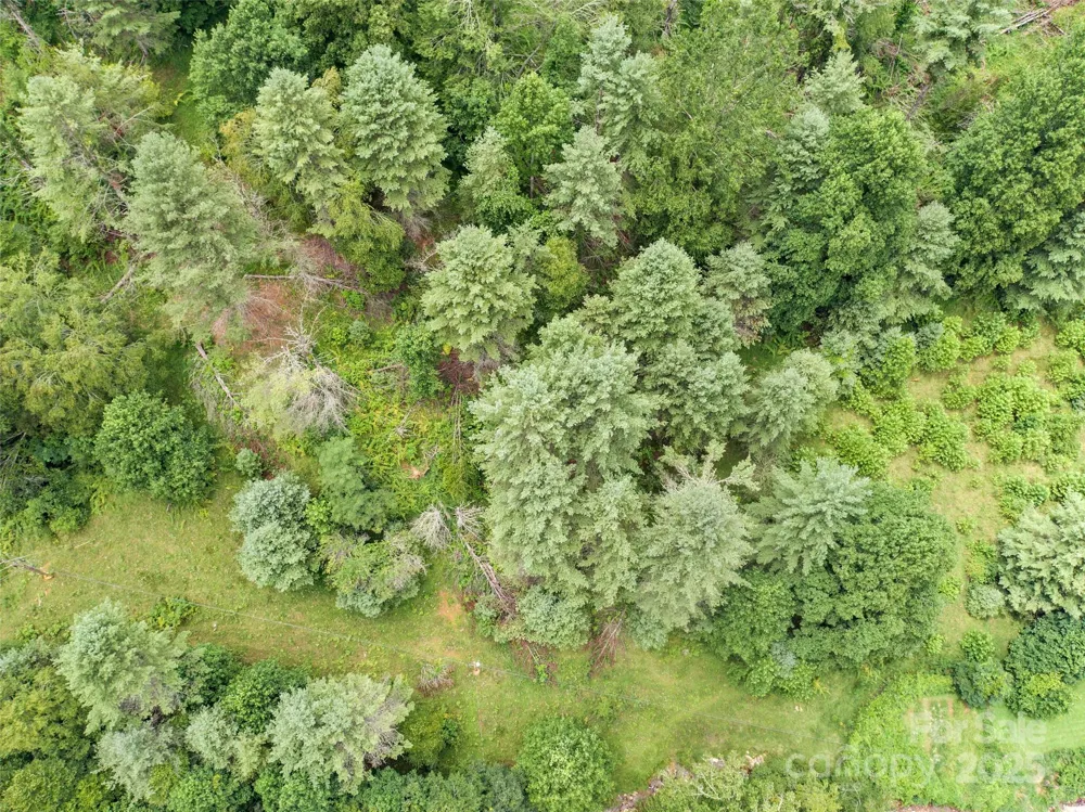 0000 Bee Log Road Burnsville, NC 28714