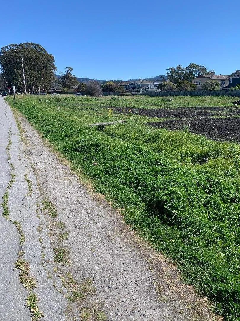 Magnolia Street Half Moon Bay, CA 94019