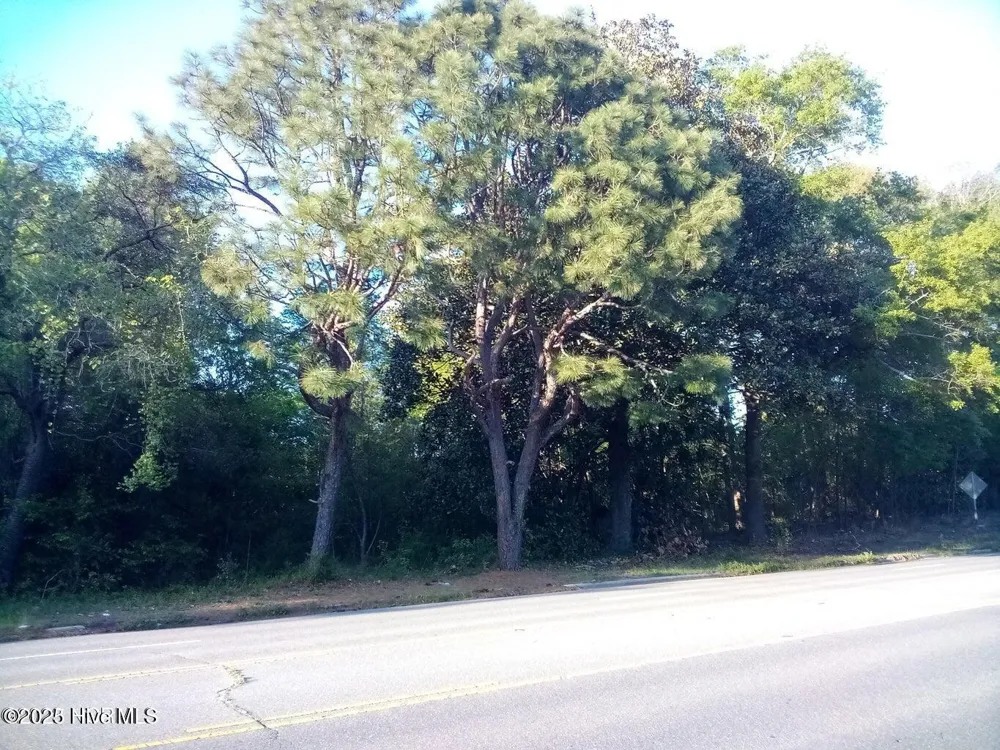 Tbd Hwy 74 E Hamlet, NC 28345