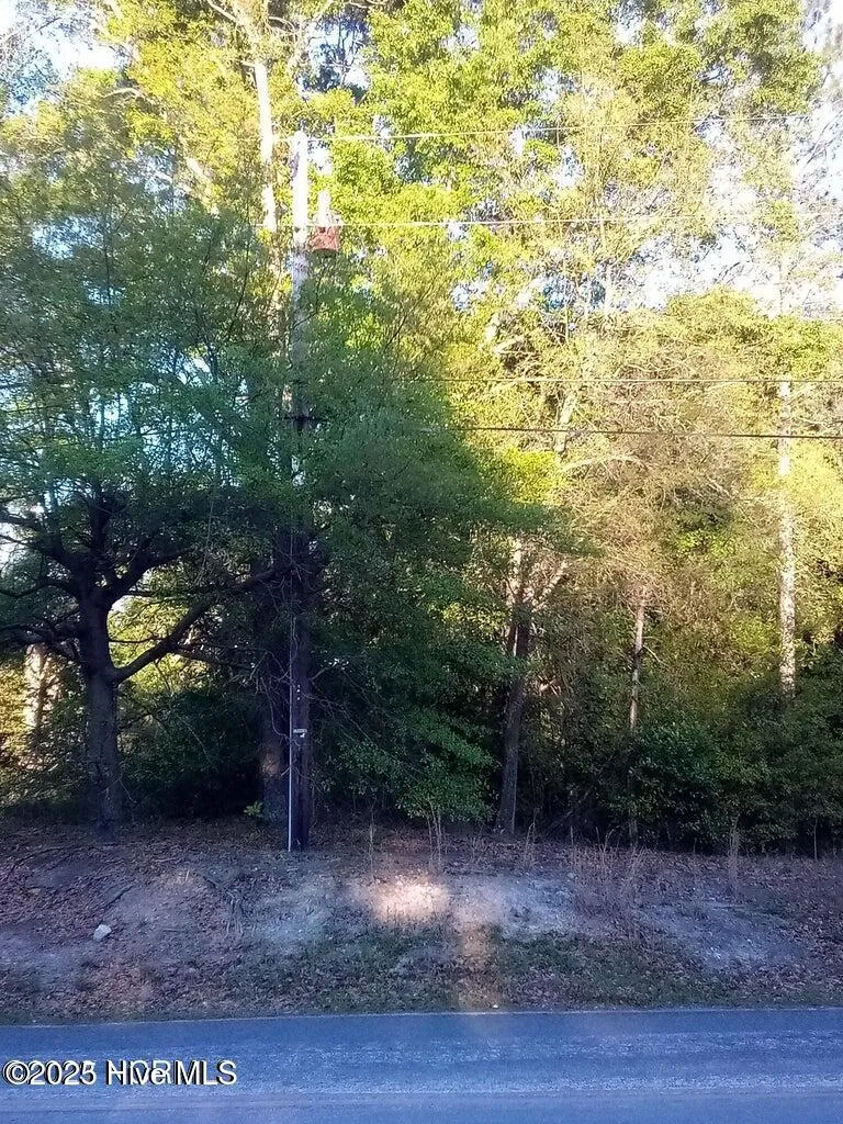 Tbd Hwy 74 E Hamlet, NC 28345