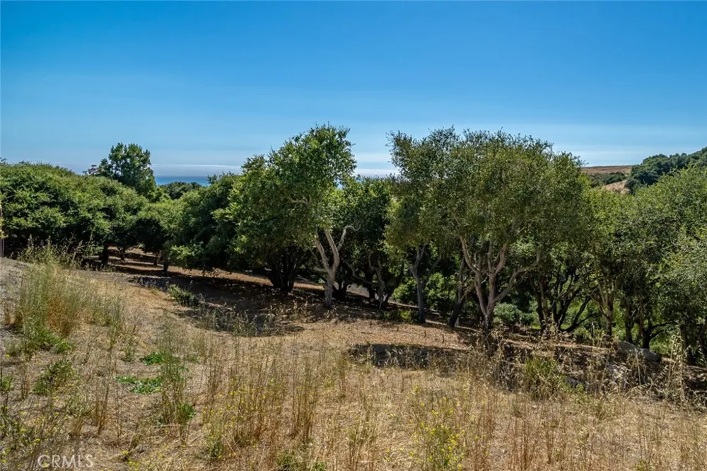 991 Visalia Street Pismo Beach, CA 93449