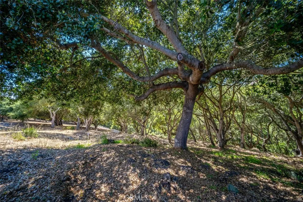 991 Visalia Street Pismo Beach, CA 93449
