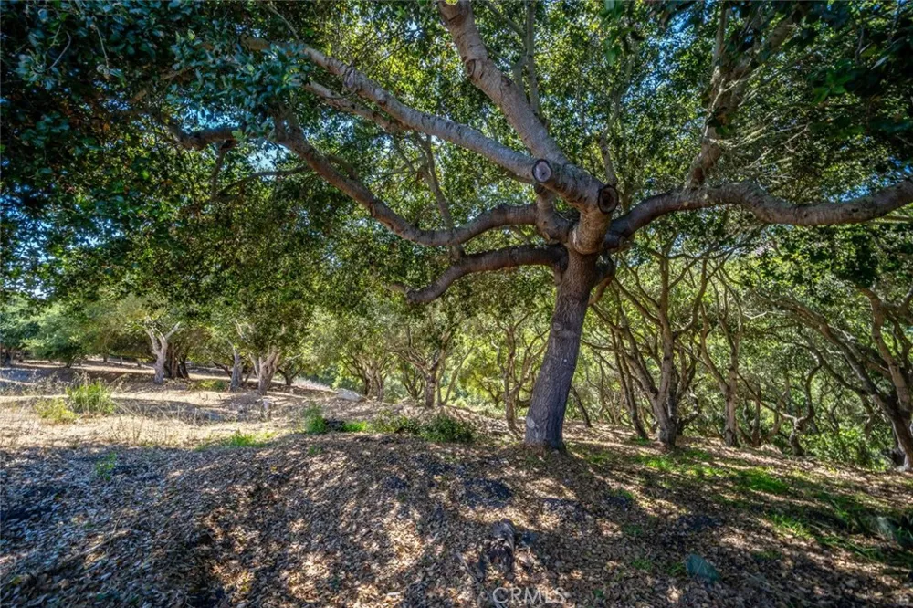 991 Visalia Street Pismo Beach, CA 93449