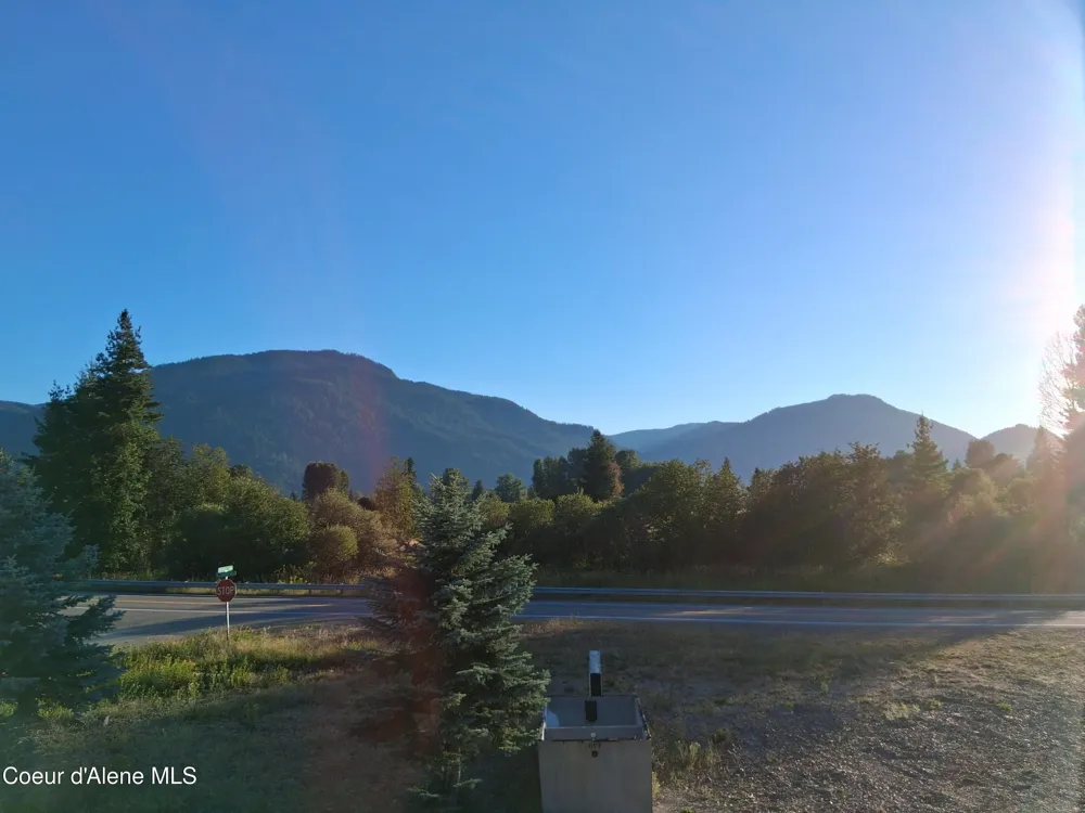 16 Elk Horn Clark Fork, ID 83811