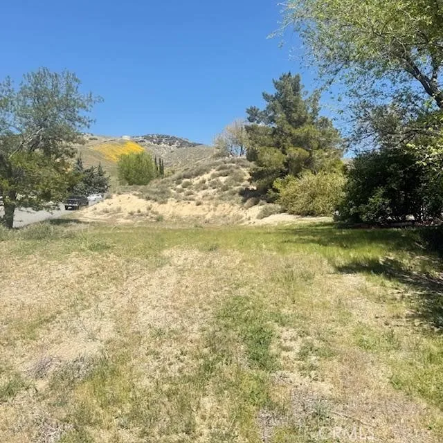 1 Johnson Road Lake Elizabeth, CA 93532