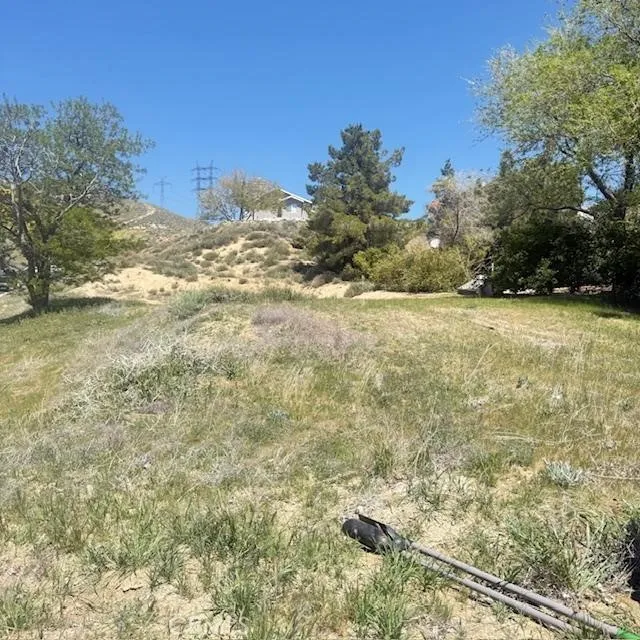 1 Johnson Road Lake Elizabeth, CA 93532