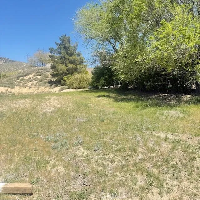 1 Johnson Road Lake Elizabeth, CA 93532