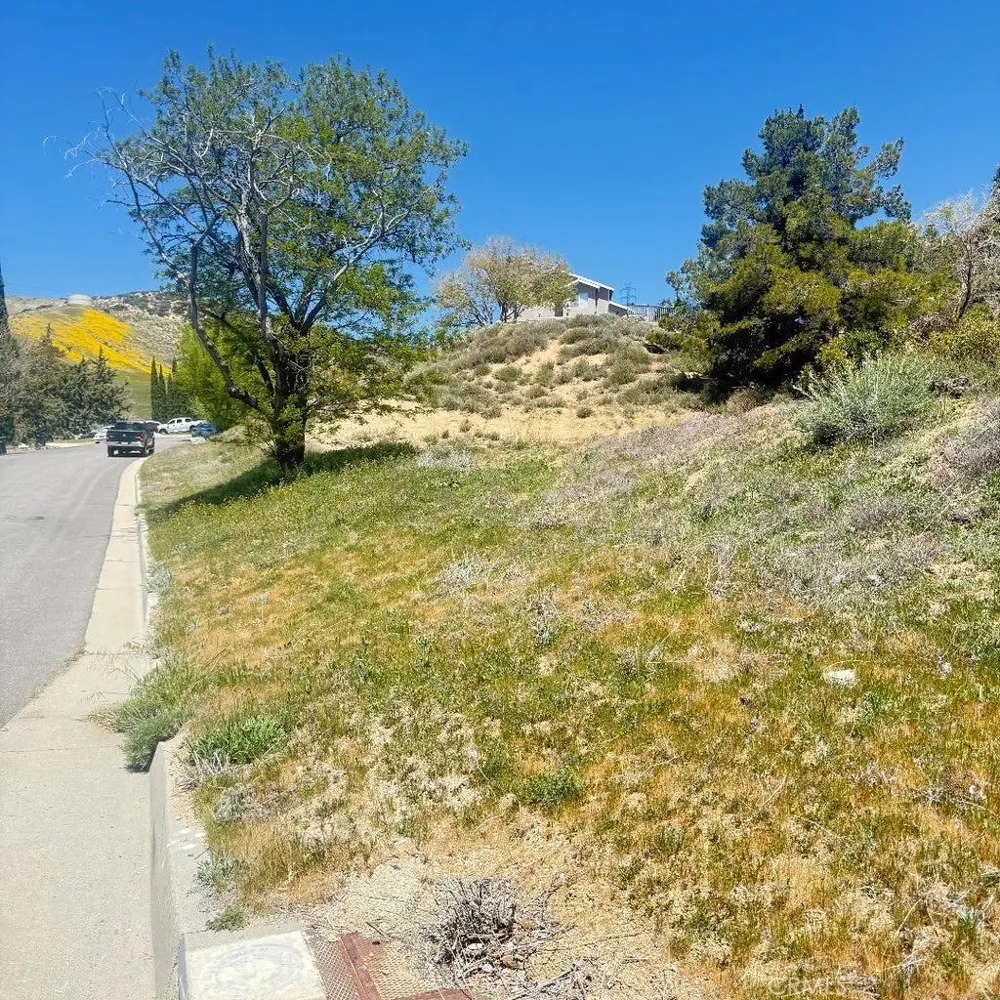 1 Johnson Road Lake Elizabeth, CA 93532