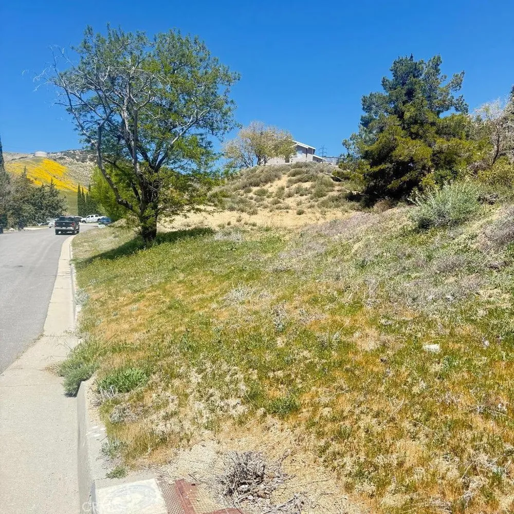 1 Johnson Road Lake Elizabeth, CA 93532