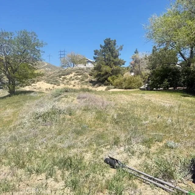 1 Johnson Road Lake Elizabeth, CA 93532