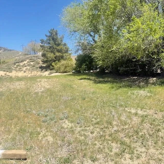 1 Johnson Road Lake Elizabeth, CA 93532