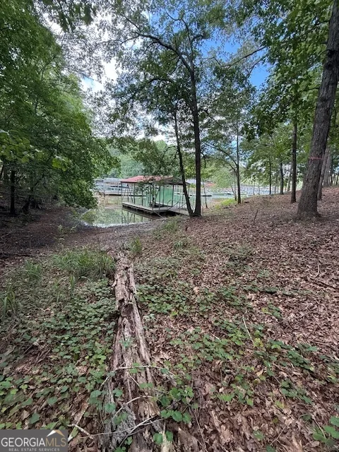 0 LOT 3 Reed Creek PT Hartwell, GA 30643
