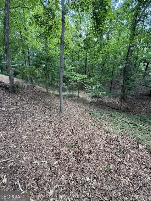 0 LOT 3 Reed Creek PT Hartwell, GA 30643