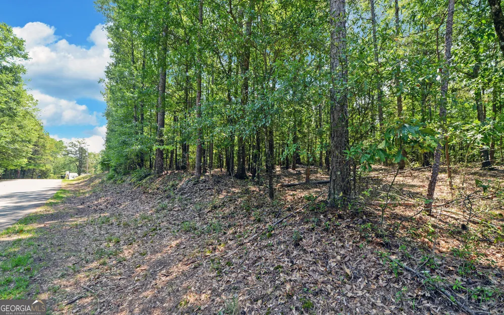 0 LOT 3 Reed Creek PT Hartwell, GA 30643
