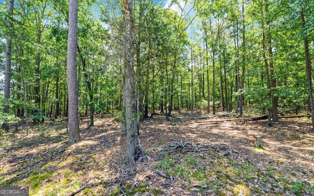0 LOT 3 Reed Creek PT Hartwell, GA 30643