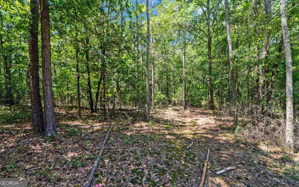 0 LOT 3 Reed Creek PT Hartwell, GA 30643