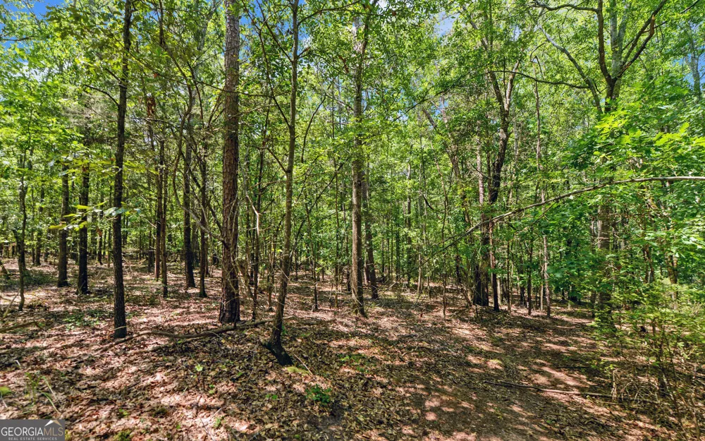 0 LOT 3 Reed Creek PT Hartwell, GA 30643