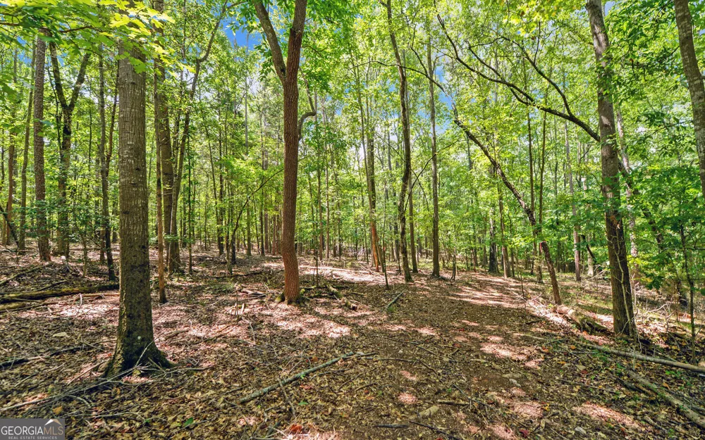 0 LOT 3 Reed Creek PT Hartwell, GA 30643