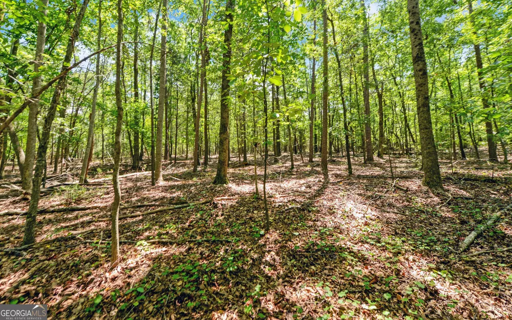 0 LOT 3 Reed Creek PT Hartwell, GA 30643