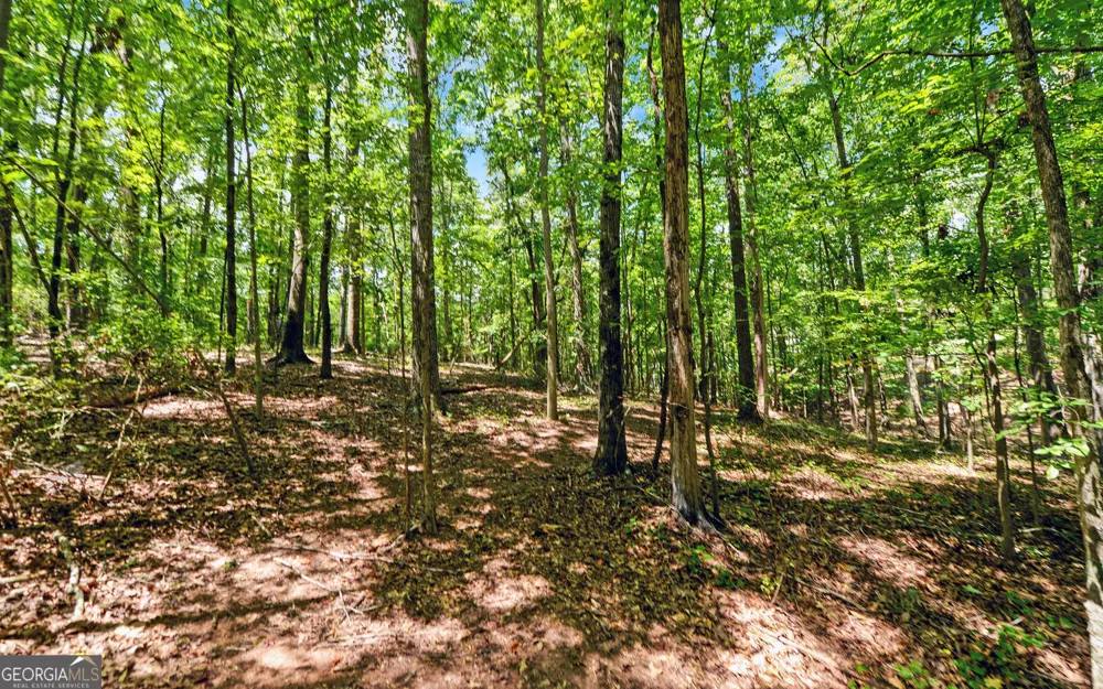 0 LOT 3 Reed Creek PT Hartwell, GA 30643
