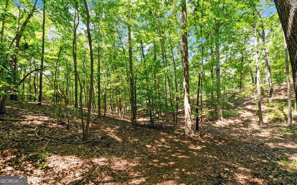 0 LOT 3 Reed Creek PT Hartwell, GA 30643