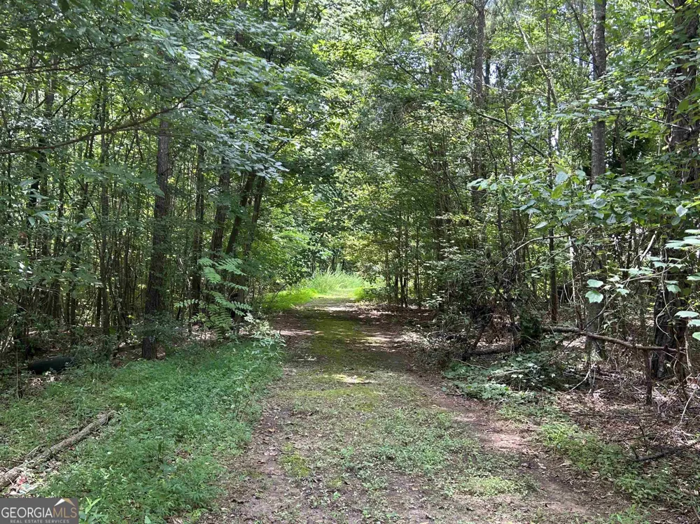 4923 Amsler RD Ellenwood, GA 30294