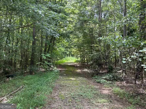 4923 Amsler RD