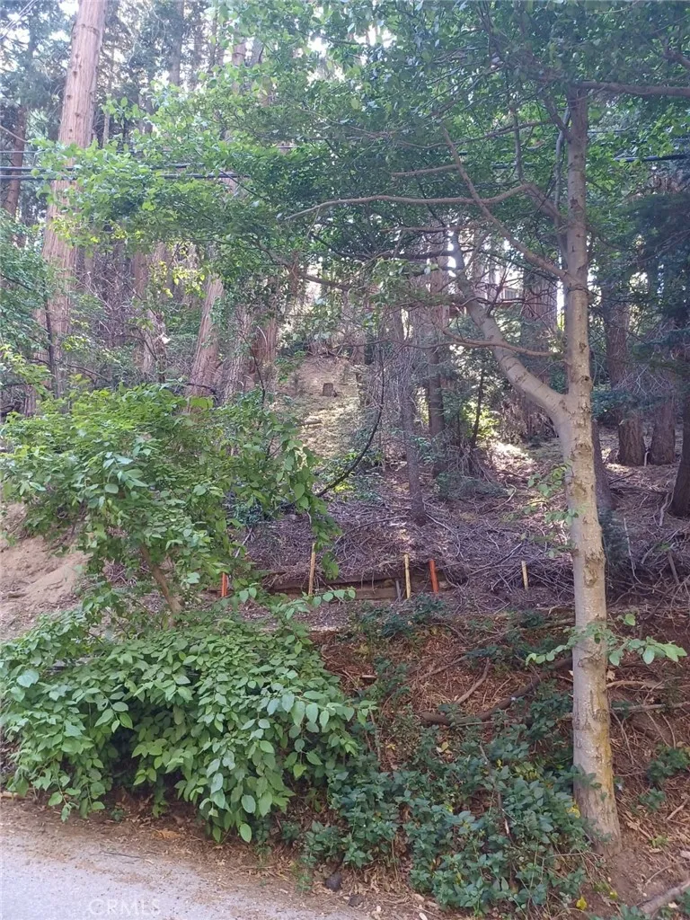 Community Drive Lake Arrowhead, CA 92352