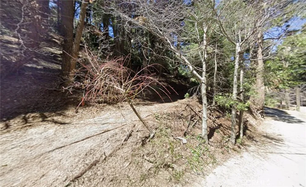 Community Drive Lake Arrowhead, CA 92352