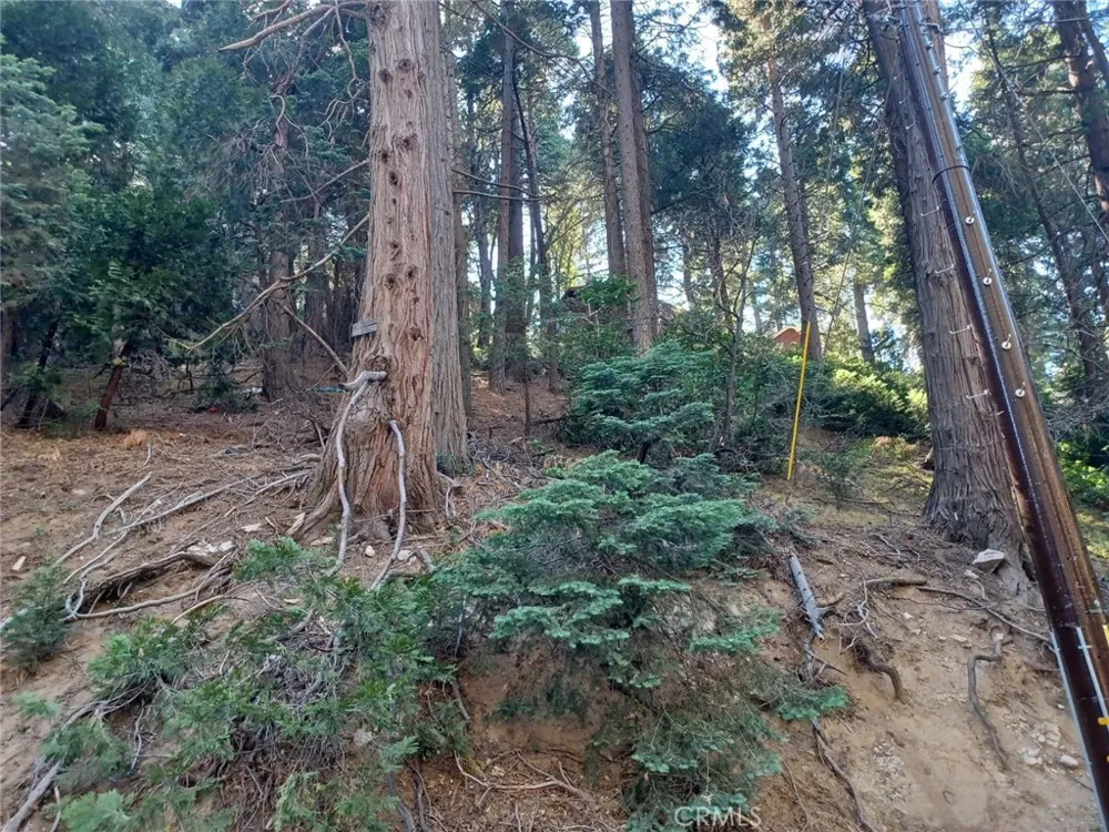 Community Drive Lake Arrowhead, CA 92352