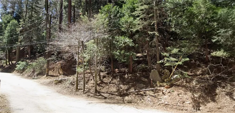 Community Drive Lake Arrowhead, CA 92352
