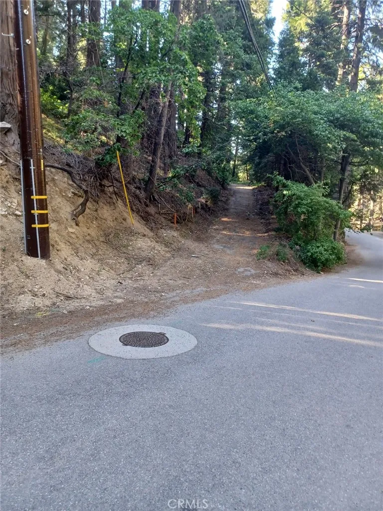 Community Drive Lake Arrowhead, CA 92352