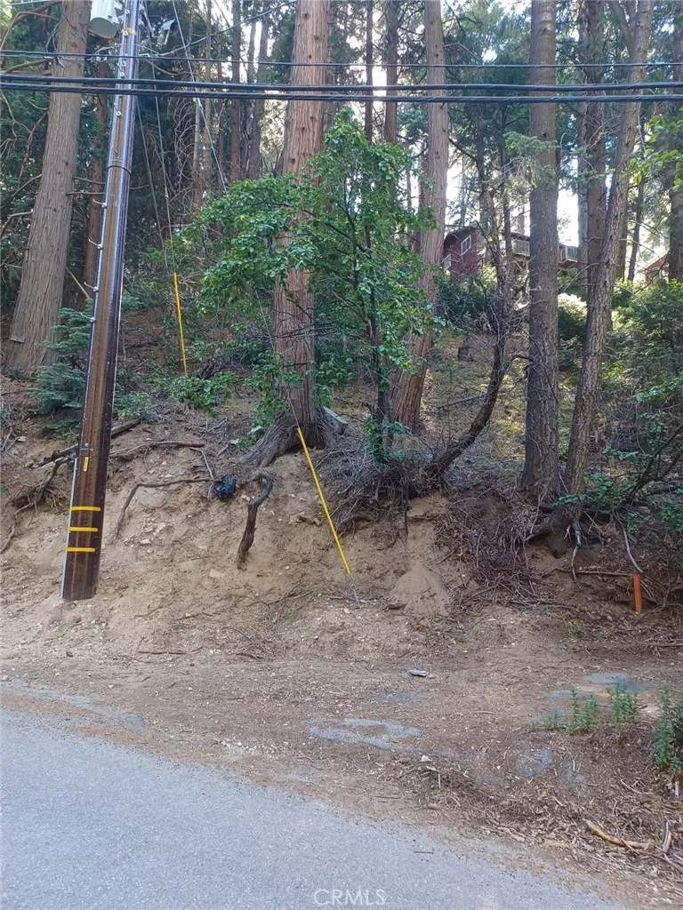 Community Drive Lake Arrowhead, CA 92352