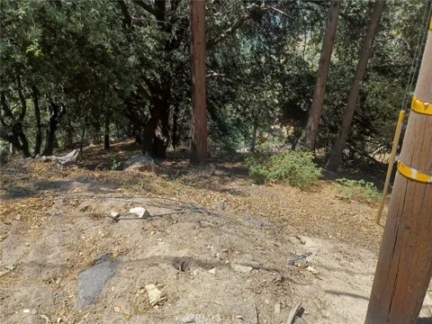 Lo Lane