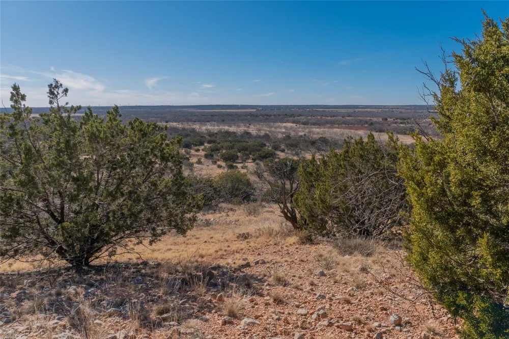 County Road 175 Winters, TX 79567