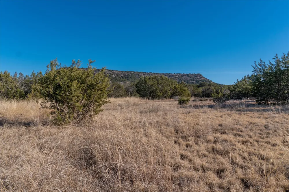 County Road 175 Winters, TX 79567