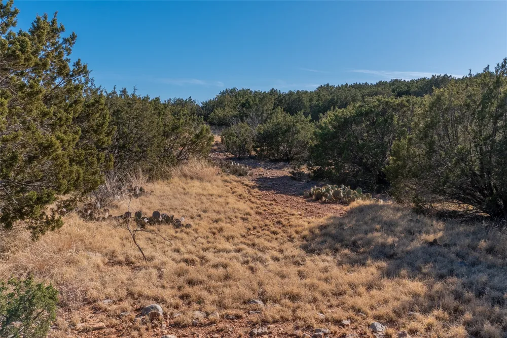 County Road 175 Winters, TX 79567