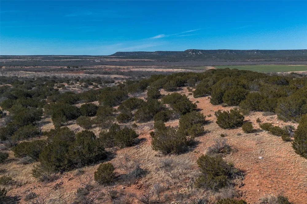 County Road 175 Winters, TX 79567