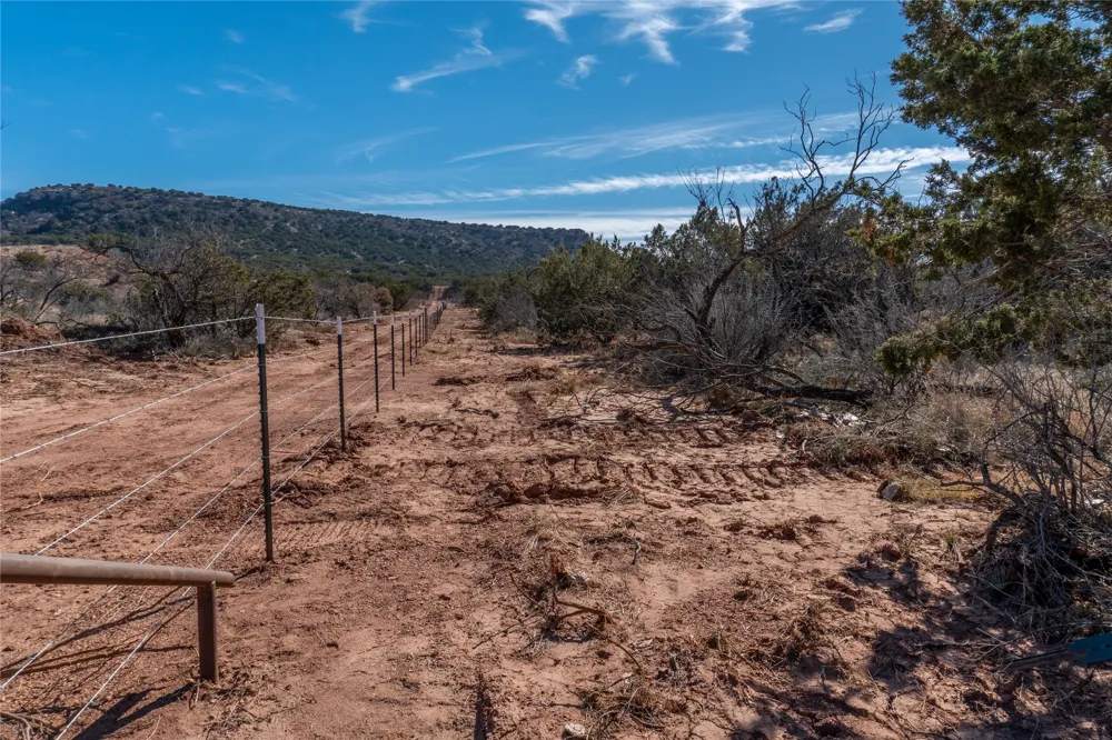 County Road 175 Winters, TX 79567