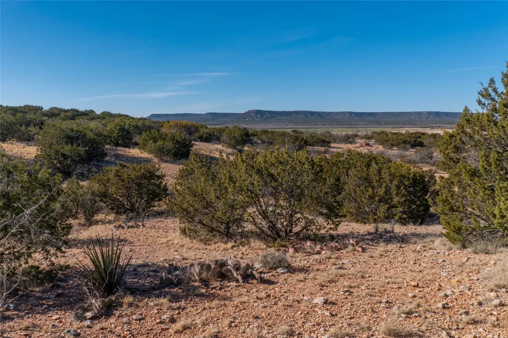 County Road 175 Winters, TX 79567