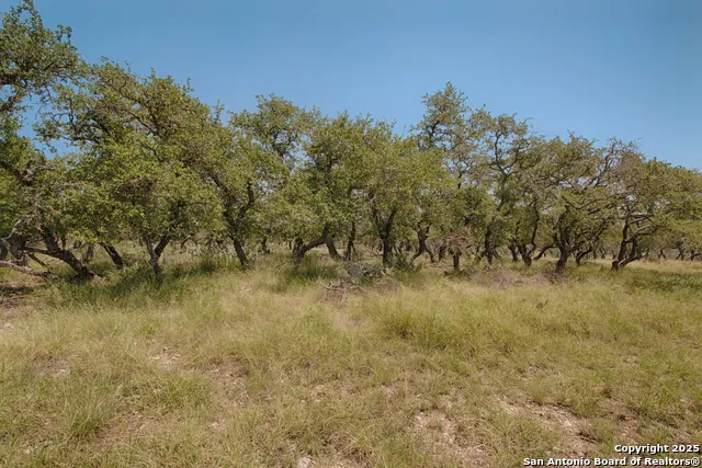 379 Bent Tree Harper, TX 78631