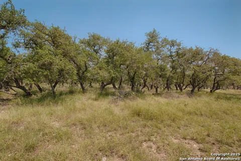 379 Bent Tree