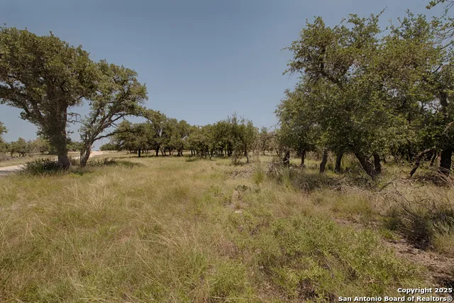 379 Bent Tree Harper, TX 78631