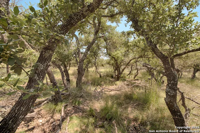379 Bent Tree Harper, TX 78631