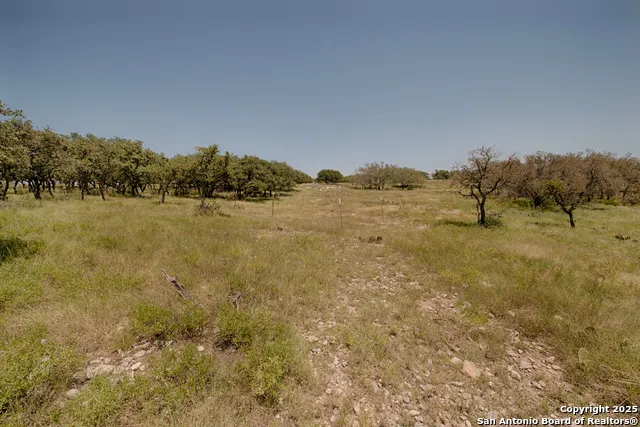 379 Bent Tree Harper, TX 78631